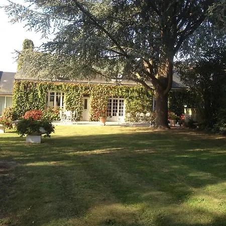 招待所 Le Petit Pont Moncé-en-Belin